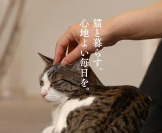 猫と暮らすということ  窓から顔をのぞかせて帰りを待っていたり、名前を呼ぶと駆け寄ってくる姿＿＿猫たちは毎日をもっと楽しく、もっと優しく、豊かにしてくれる大切な家族です。 しかし、繊細で自由気ままな猫たちが本当に安心して過ごせる住まいをつくるには、飼い主のやさしさと少しの工夫が必要です。
