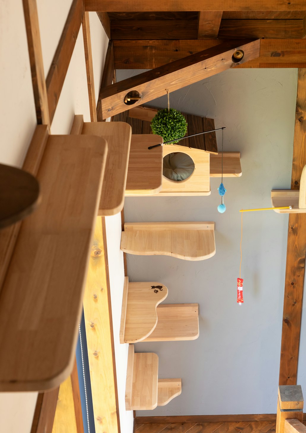 サイエンスホーム高岡店_イベントイメージ3