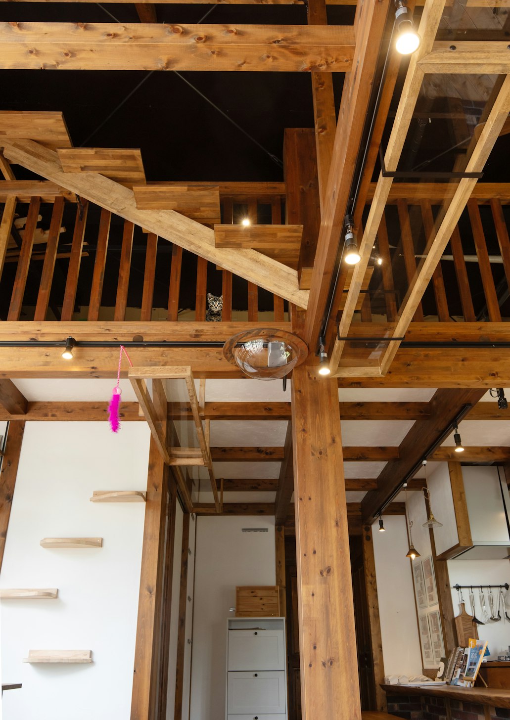 サイエンスホーム高岡店_イベントイメージ2