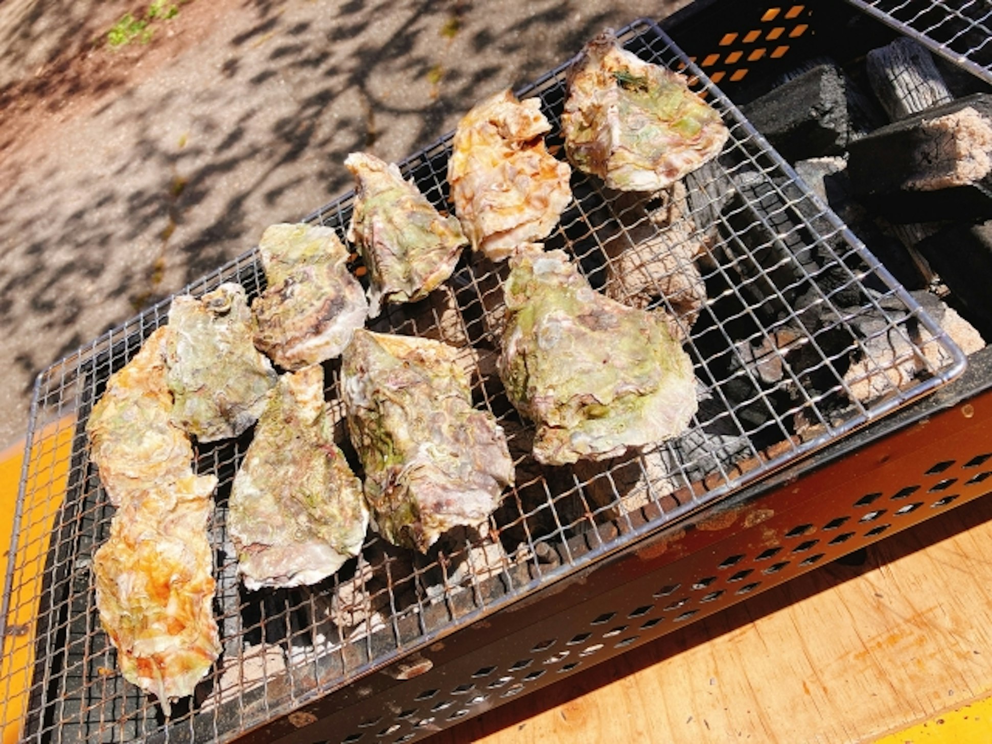 セイダイ ハウジングミライロ事業部_イベントイメージ2