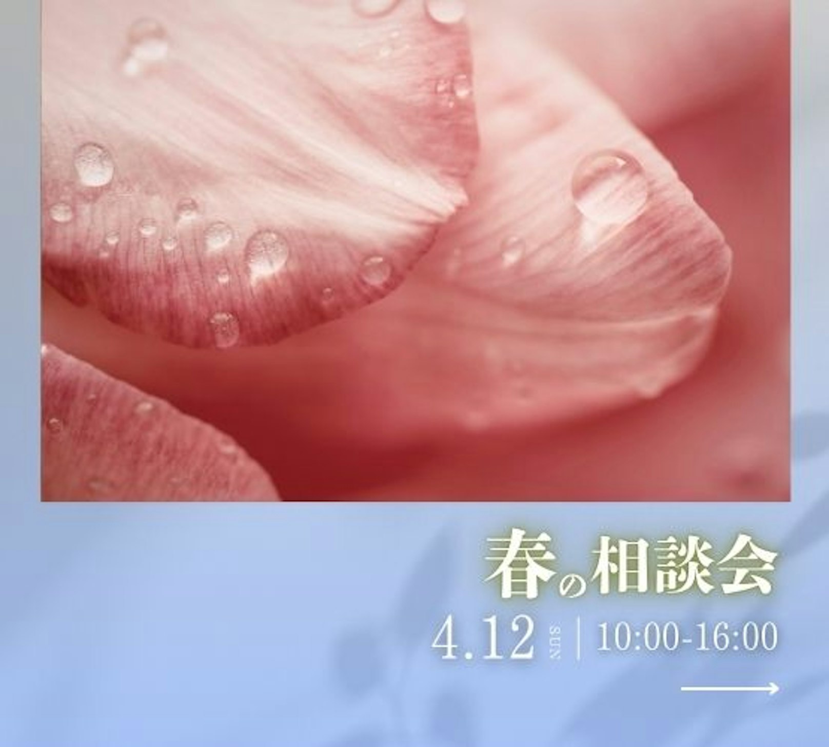 ホーム・ホーム_イベントイメージ1