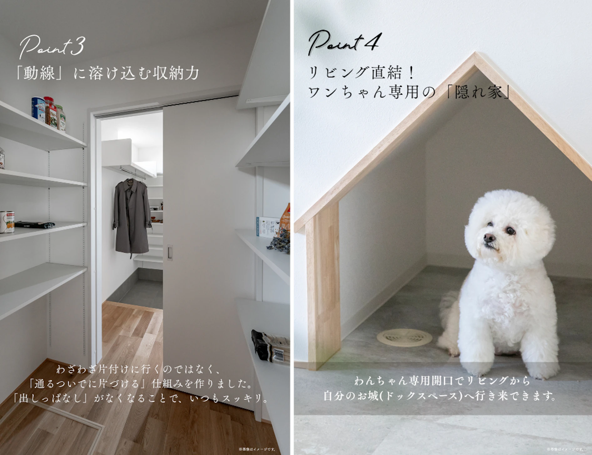 和泉_イベントイメージ3