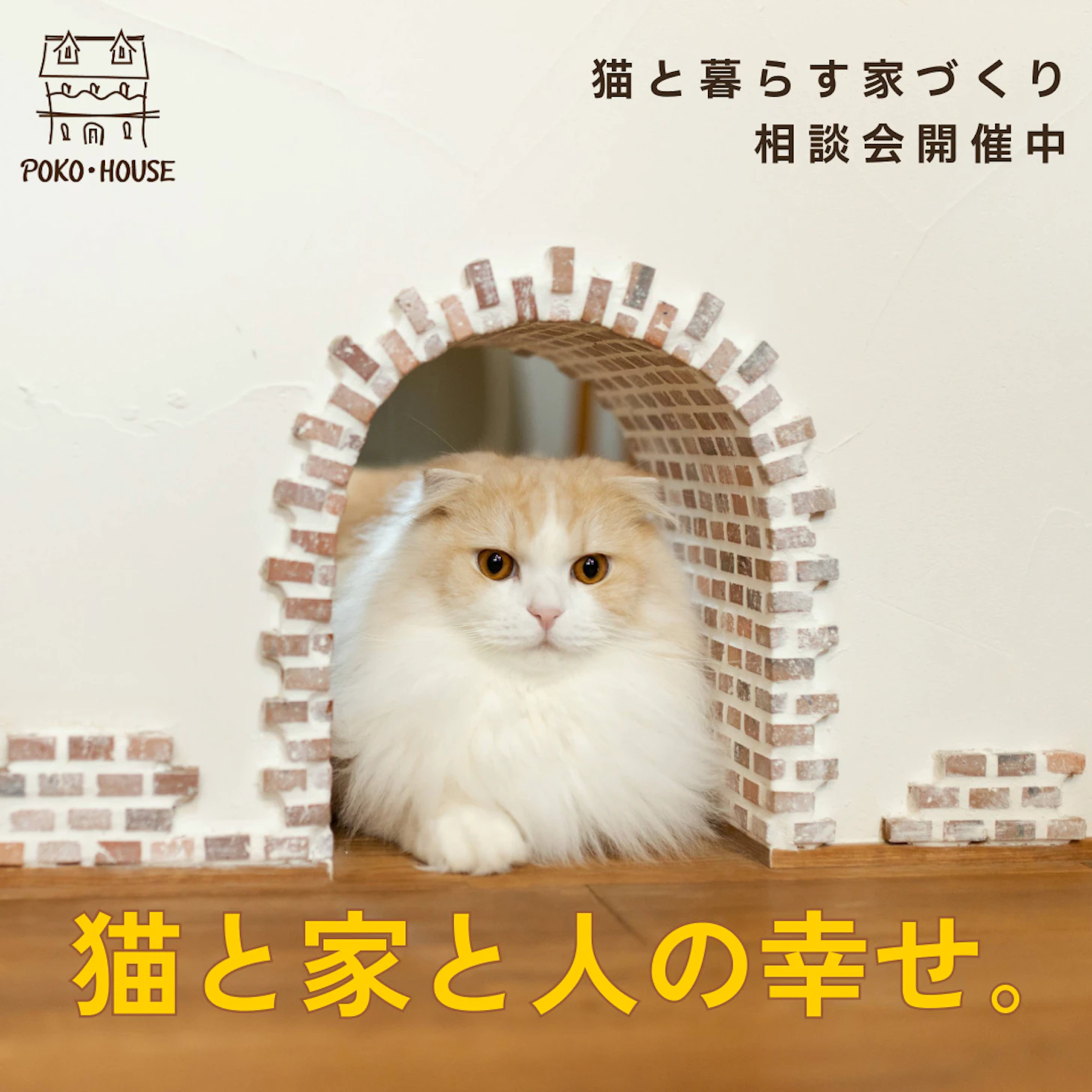 イイタ建築ポコ・ハウス　サラサホーム富山_イベントイメージ1
