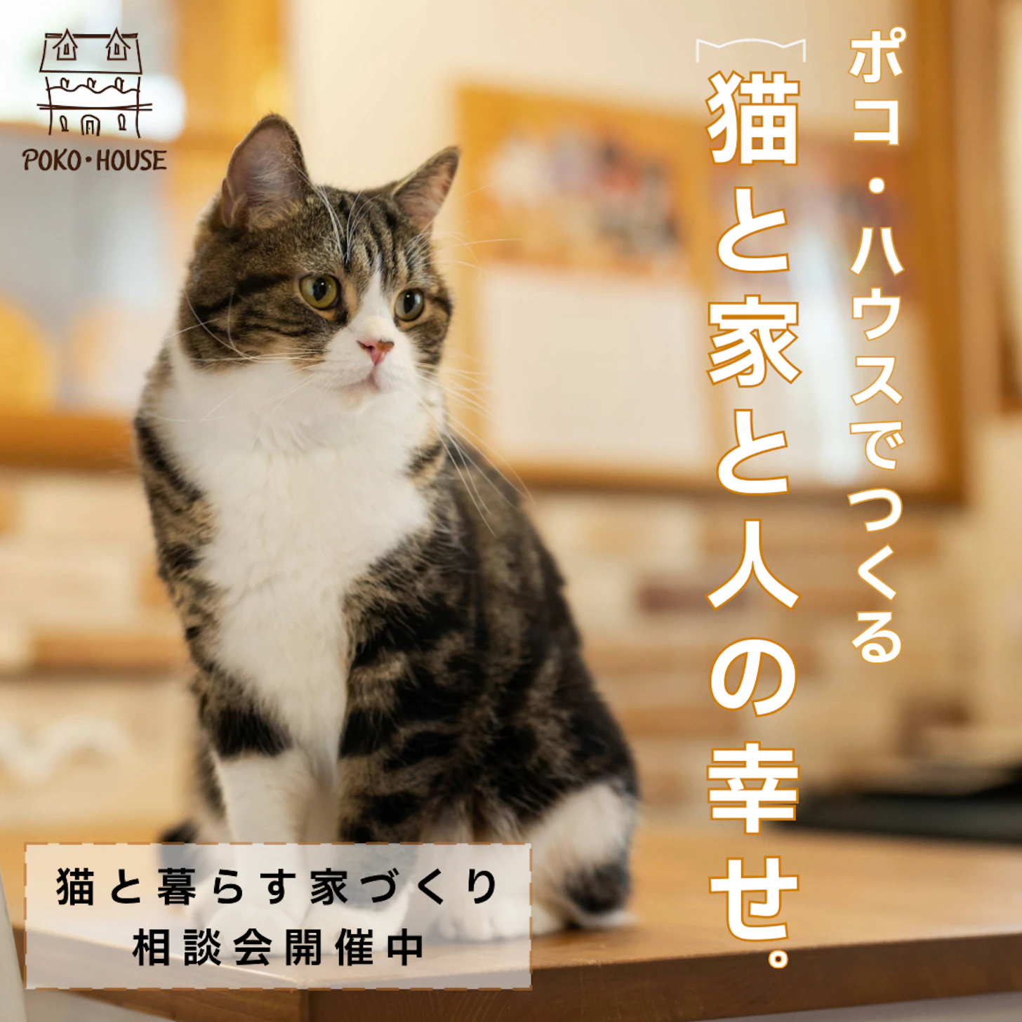イイタ建築ポコ・ハウス　サラサホーム富山_イベントイメージ2
