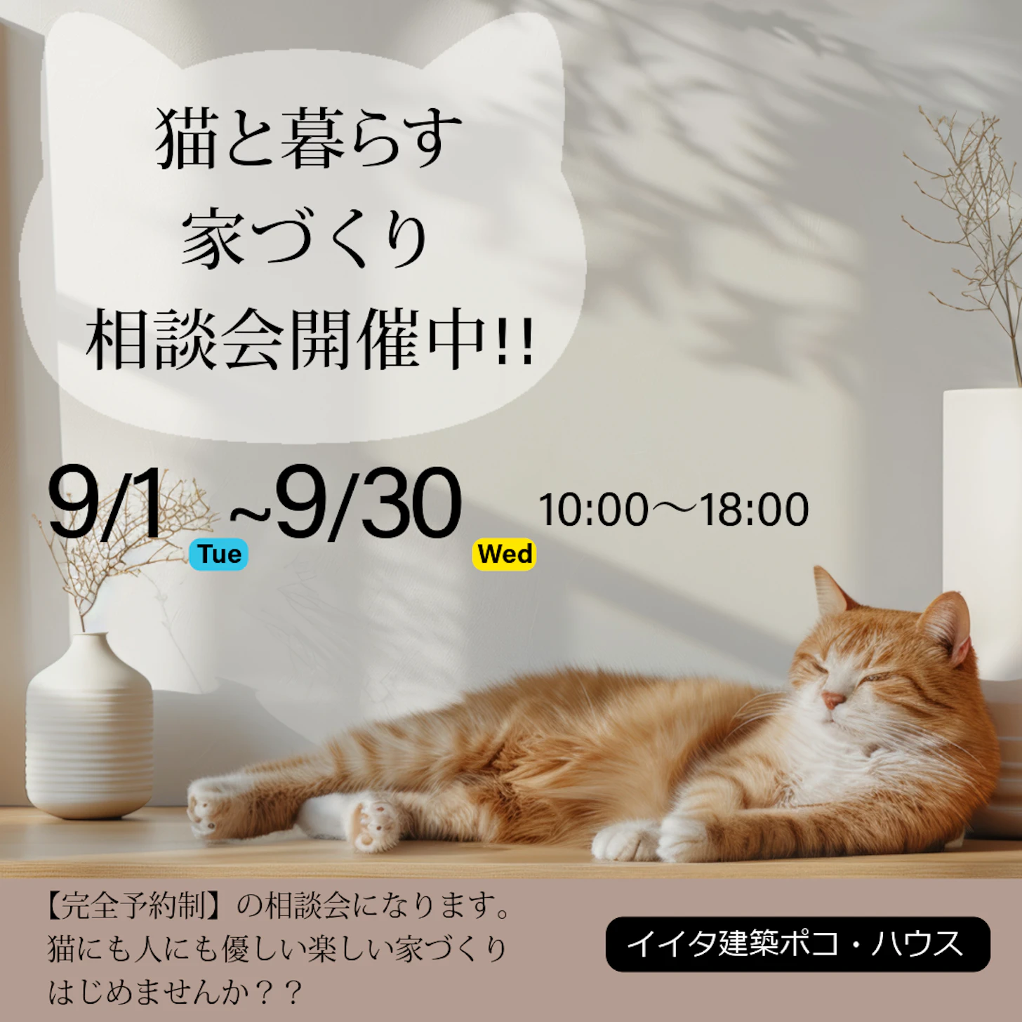 イイタ建築ポコ・ハウス　サラサホーム富山_イベントイメージ1