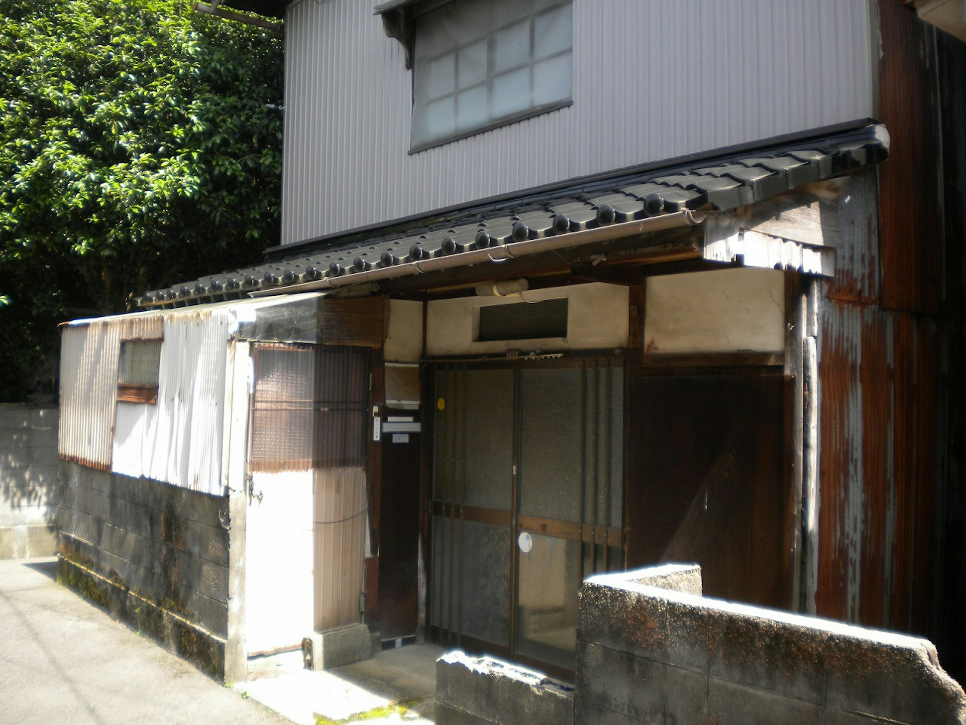 現地写真
