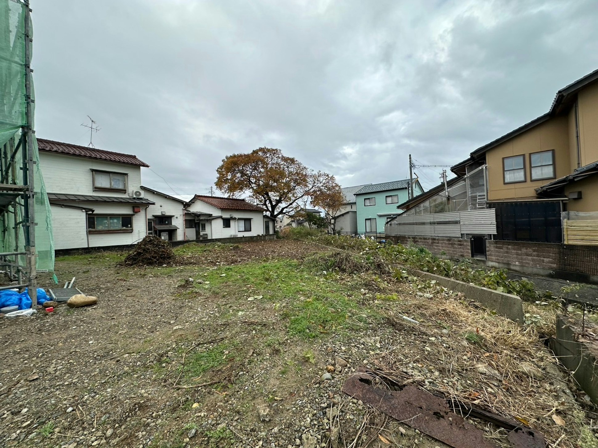現地写真