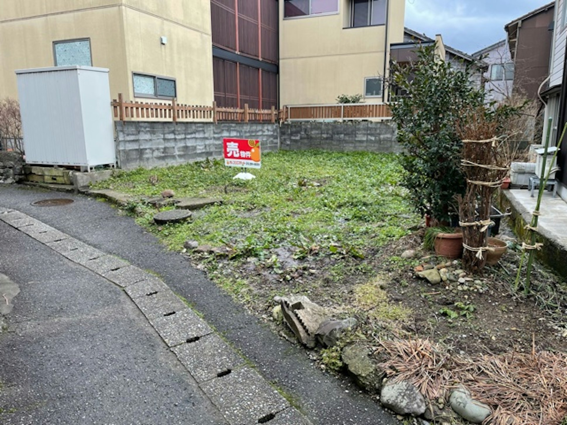 現地写真