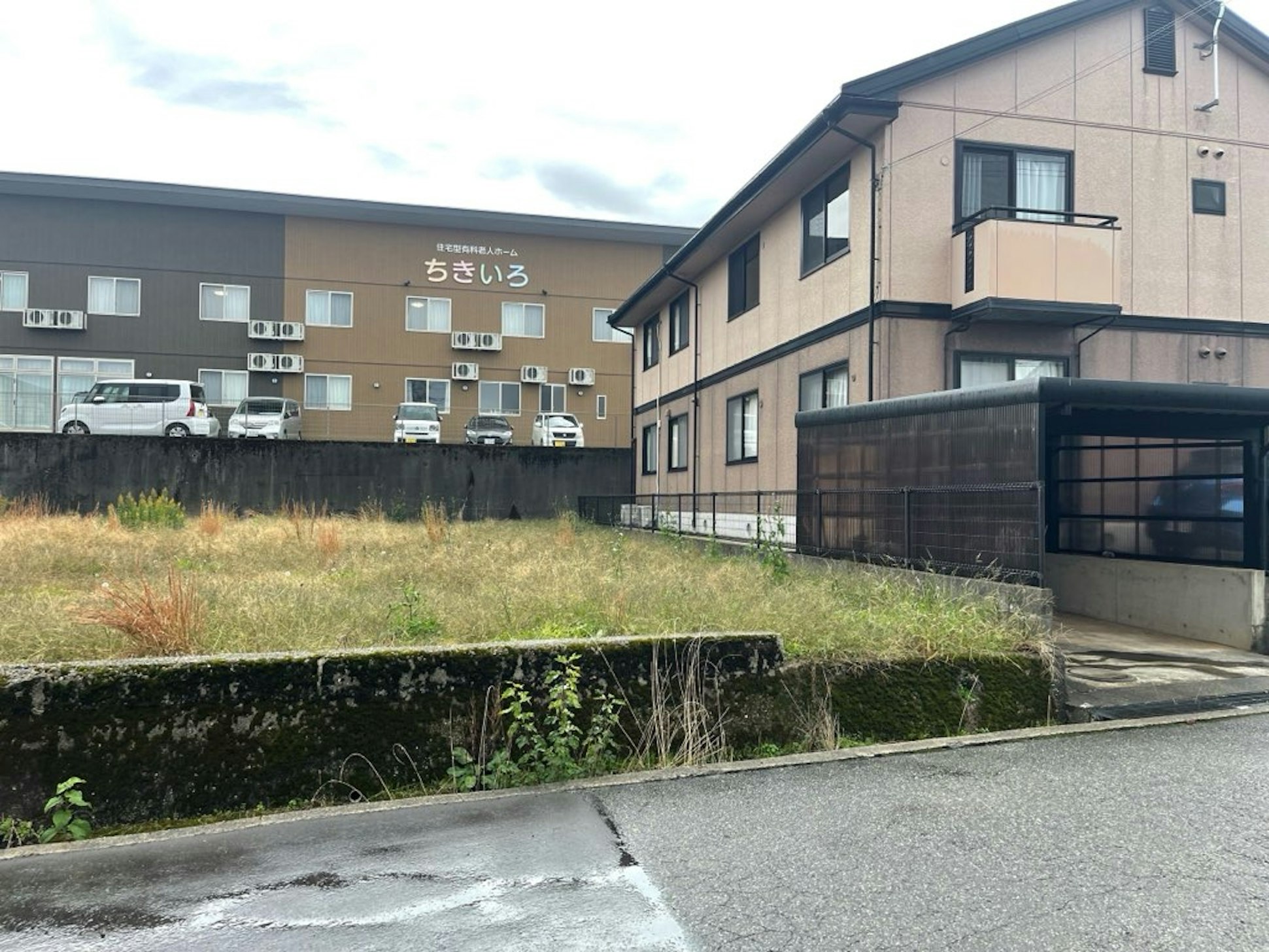 正面写真