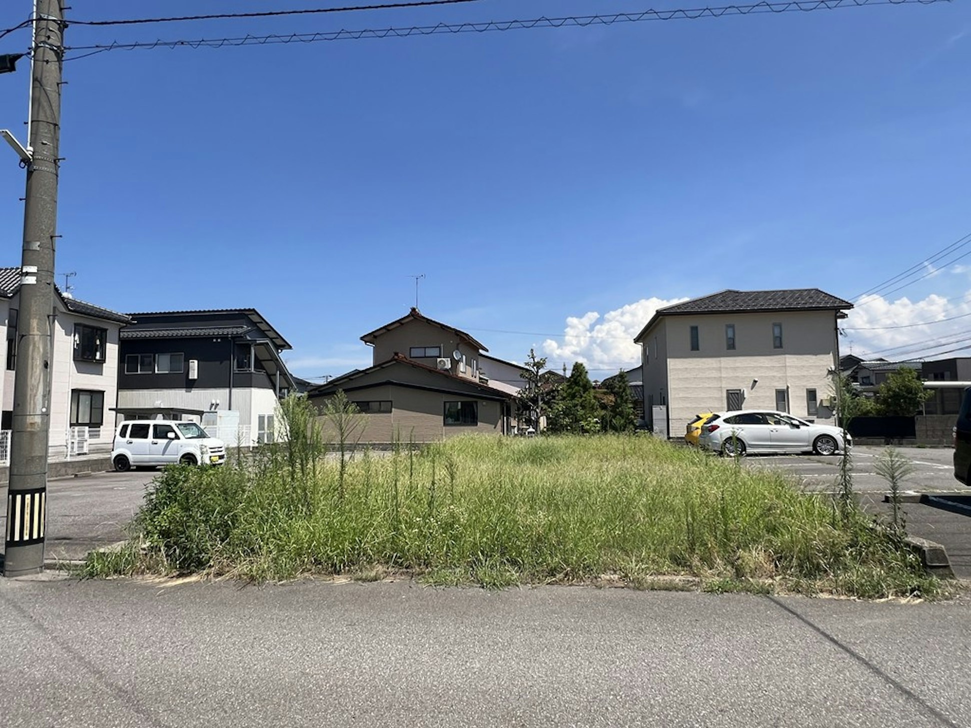 現地
