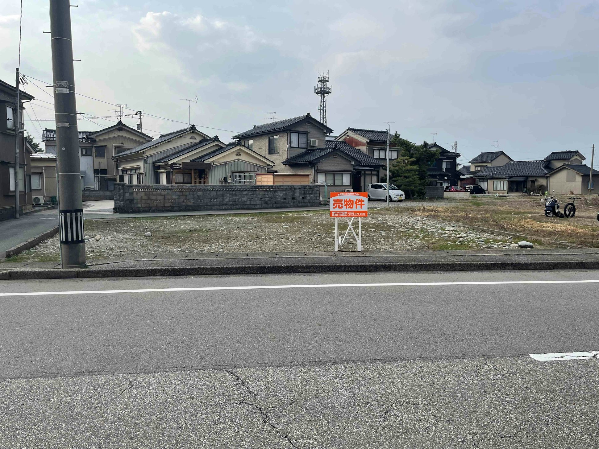 現地写真