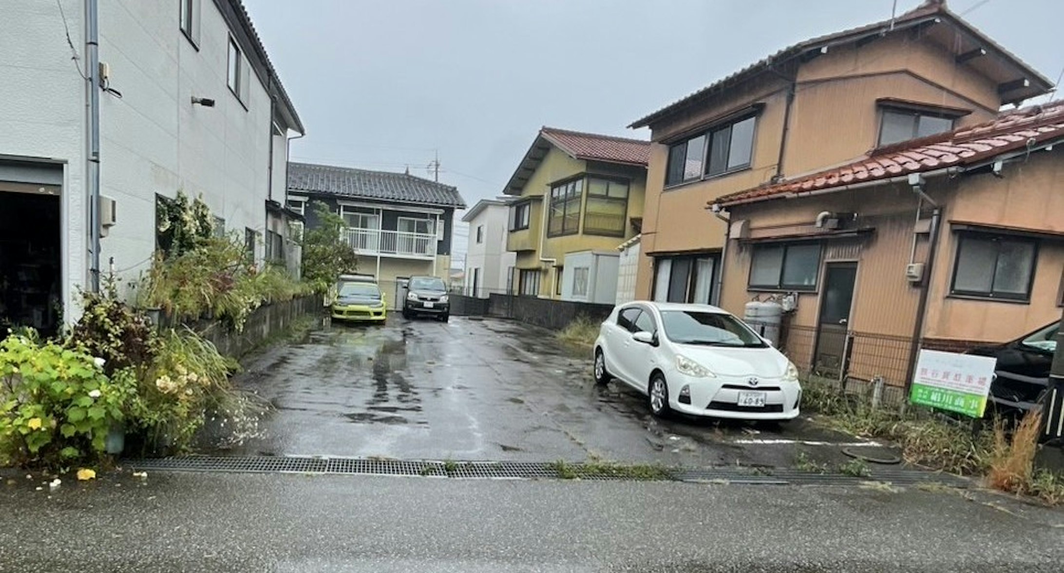 現地写真