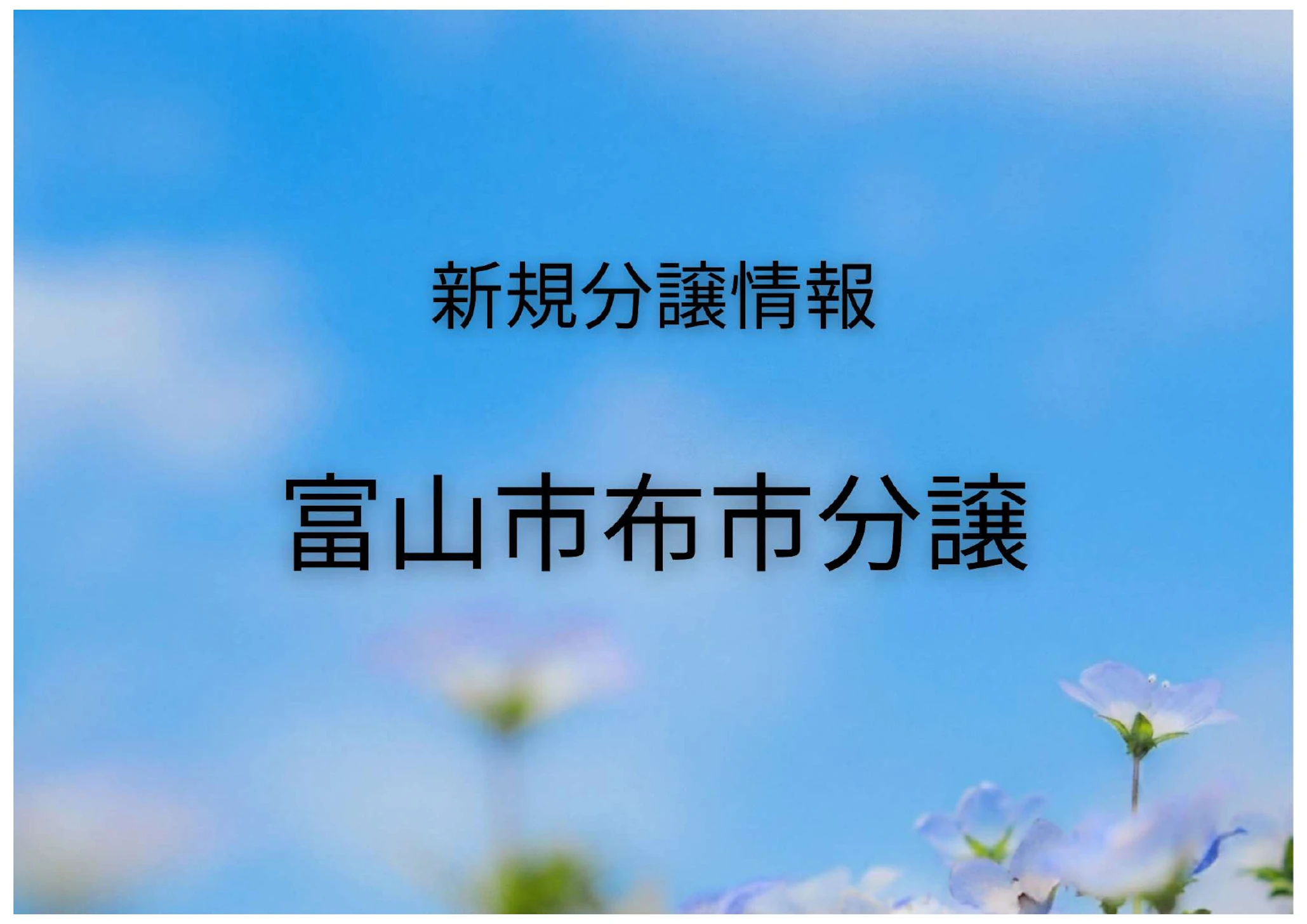 布市分譲