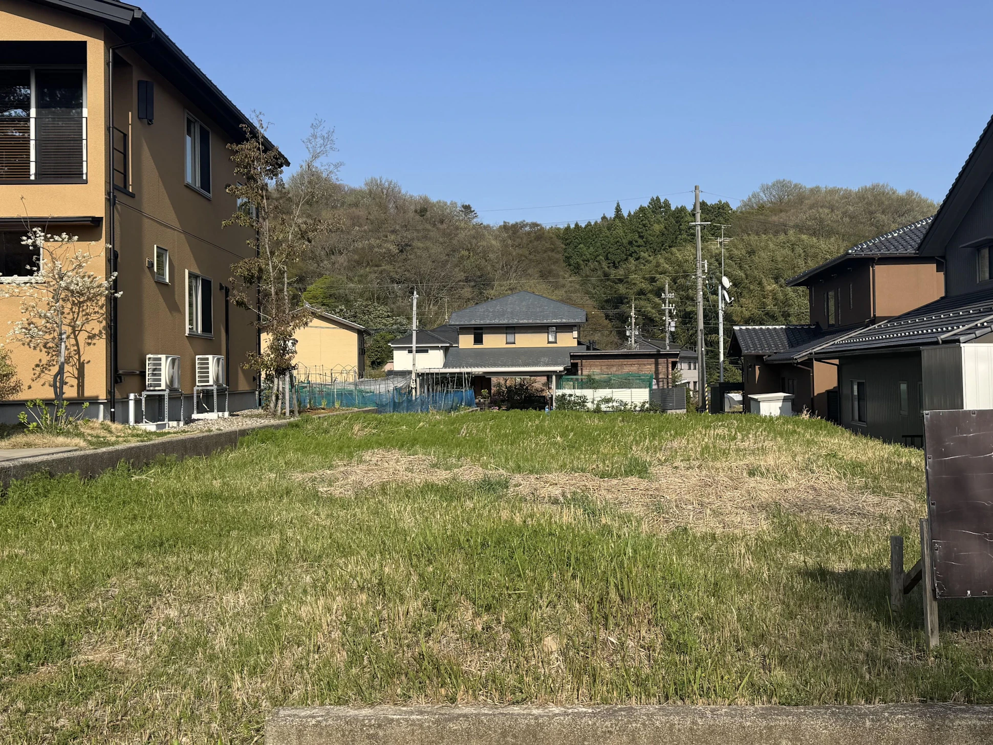 敷地内から