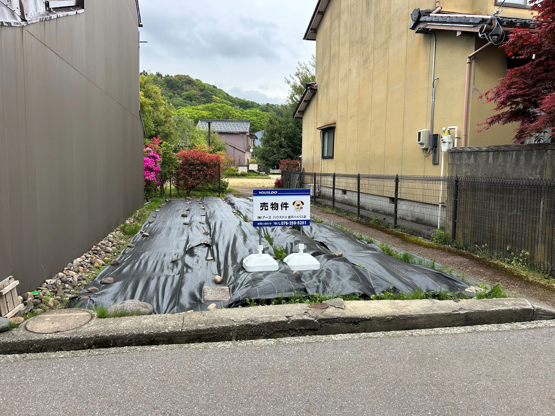 現地