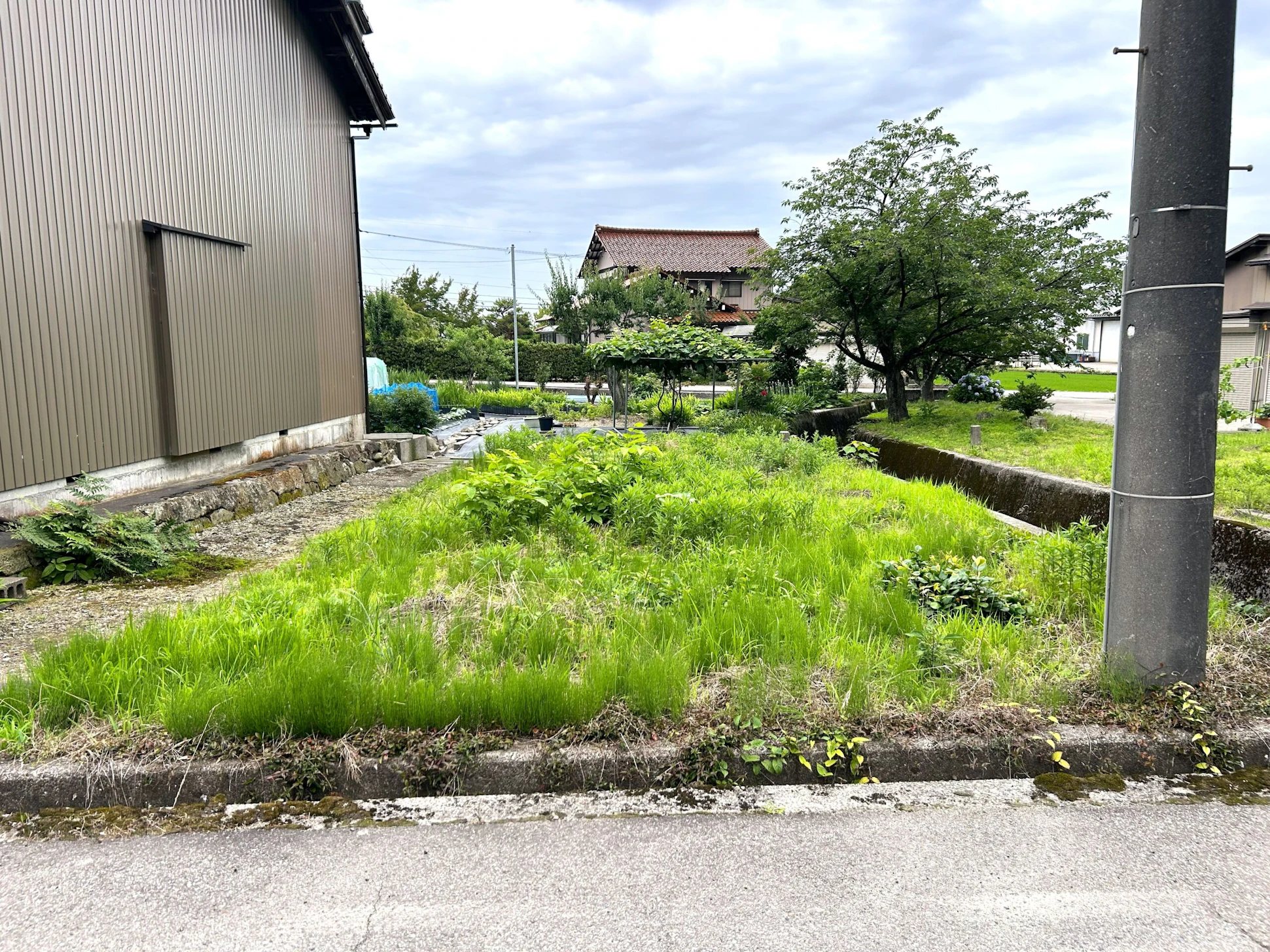 現地