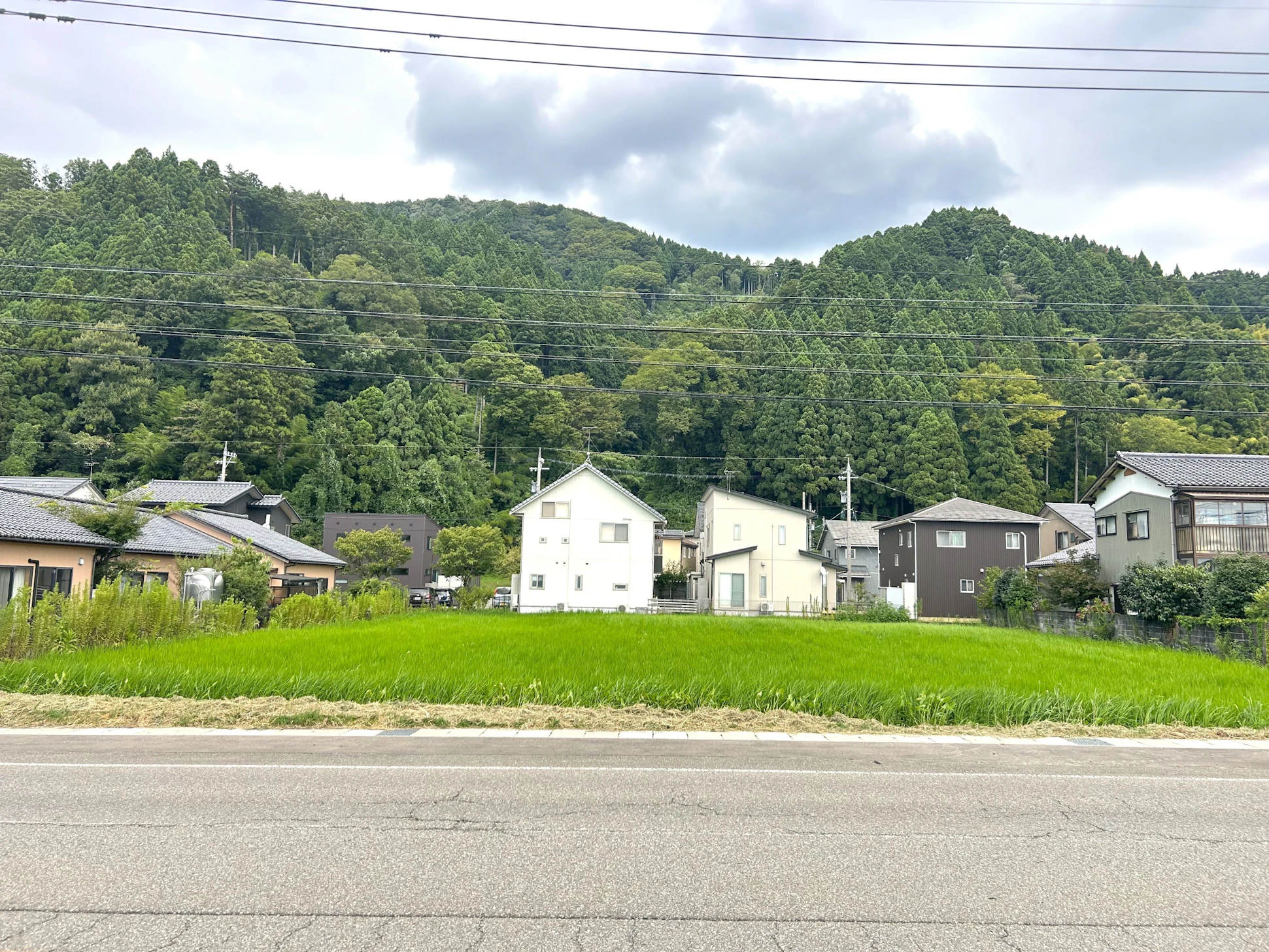 現地