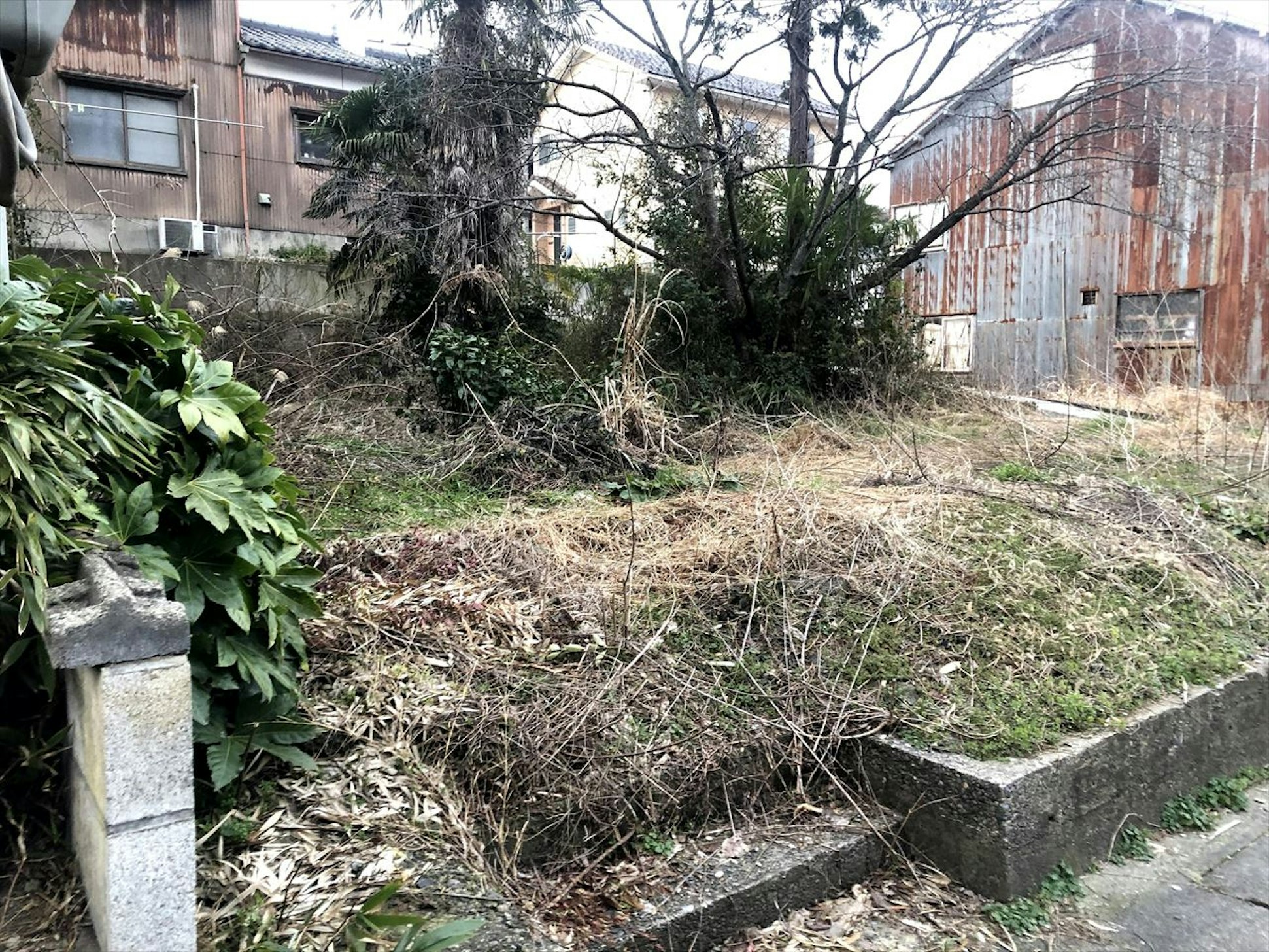 土地正面